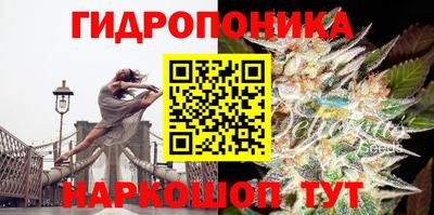 гашик Обь