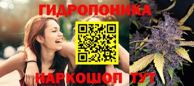 молекула духа Нягань